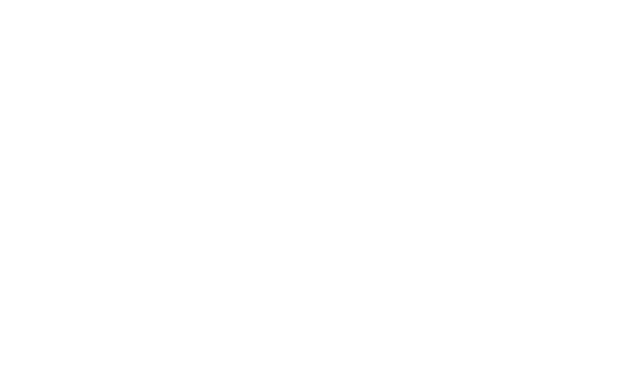 wardenlight-logo.png