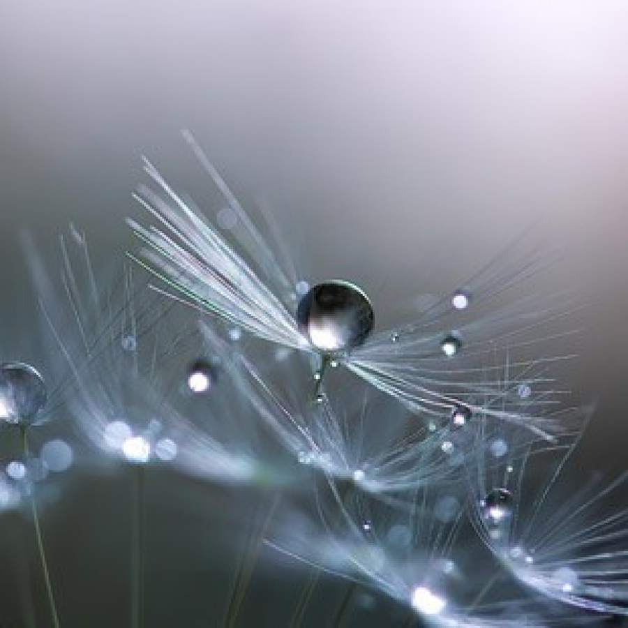 Miki Asai 